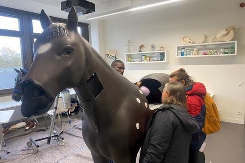 Auf dem Campus Düppel führte Dr. Samira Schlesinger, Koordinatorin des Vet Skills Net, Prof. Dr. Kenneth Matengu und Dr. Anna Marais durch verschiedene Stationen des klinikübergreifenden Netzwerks für die praktische Ausbildung in der Veterinärmedizin