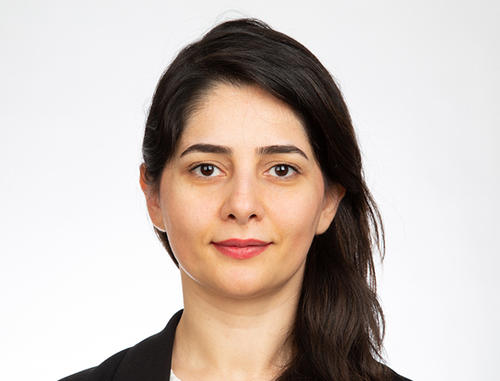 März 2023 – Fereshteh Ghazisaeedi, Ph.D.