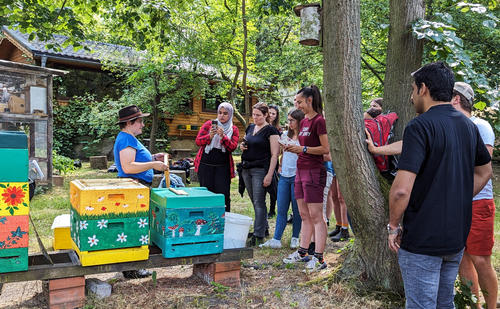 Imkermeisterin Stefanie Ludewig erläutert den Teilnehmenden die Besonderheiten der Bienenwabe