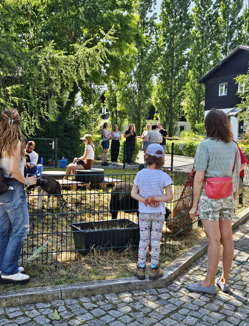 Der Streichelzoo der Nutztierklinik