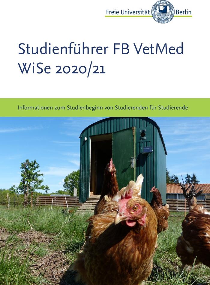 Viele weitere Informationen zu Ihrem Studium der Veterinärmedizin oder Pferdewissenschaft finden Sie im Studienführer