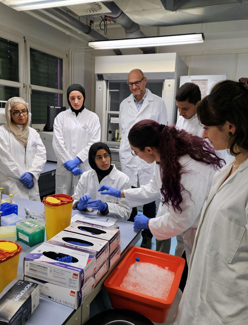 Studierende der University of Jordan bei der Probenvorbereitung zur Messung der erhaltenen Proteinmenge im Rahmen des zellphysiologischen Praktikums
