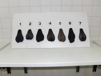 Modell zur Diagnostik von Hodenanomalien