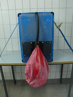 B4 | Uterusreposition - Rind • Veterinary Skills Net • Fachbereich