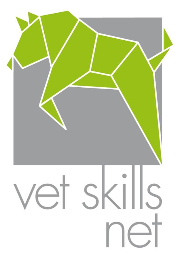 vsn-Logo-Bildschirmgrün-NEU